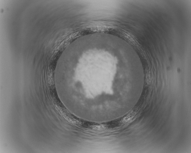 X0000057080411200509231629