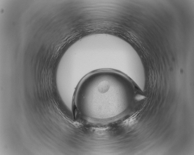 X0000057080412200509231629