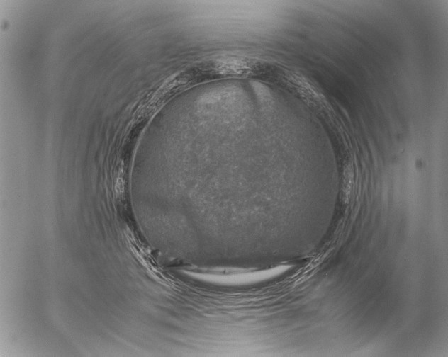 X0000057080413200509231629