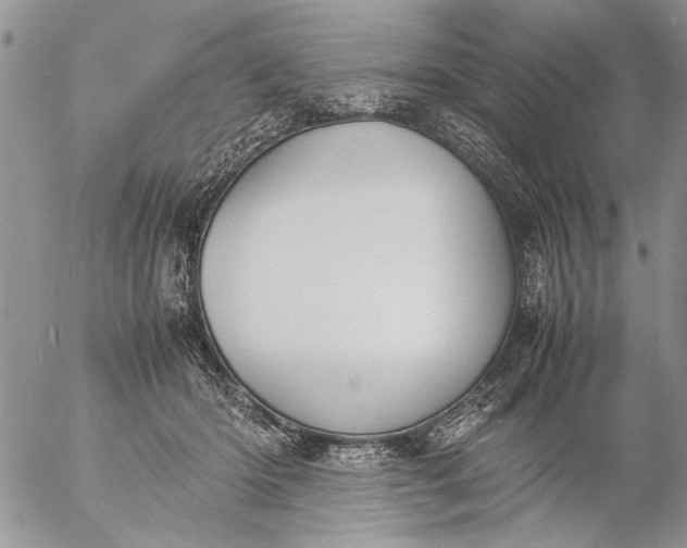 X0000057080414200509231629