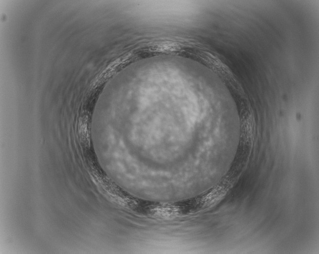 X0000057080415200509231629