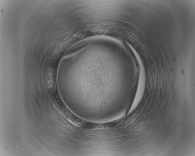 X0000057080416200509231629