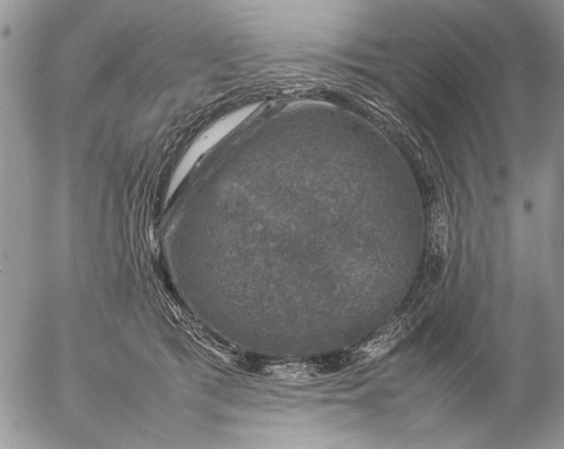 X0000057080417200509231629