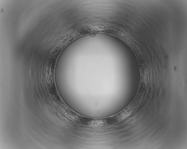 X0000057080418200509231629