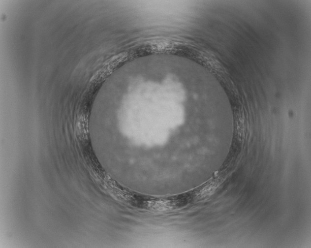 X0000057080419200509231629