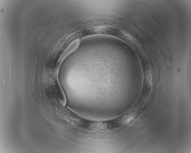 X0000057080421200509231629