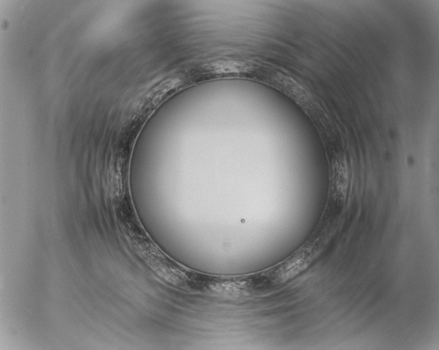 X0000057080422200509231629