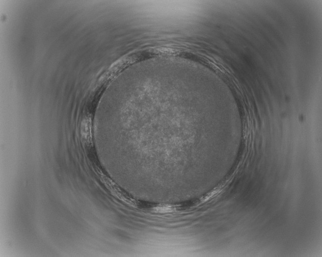 X0000057080425200509231629