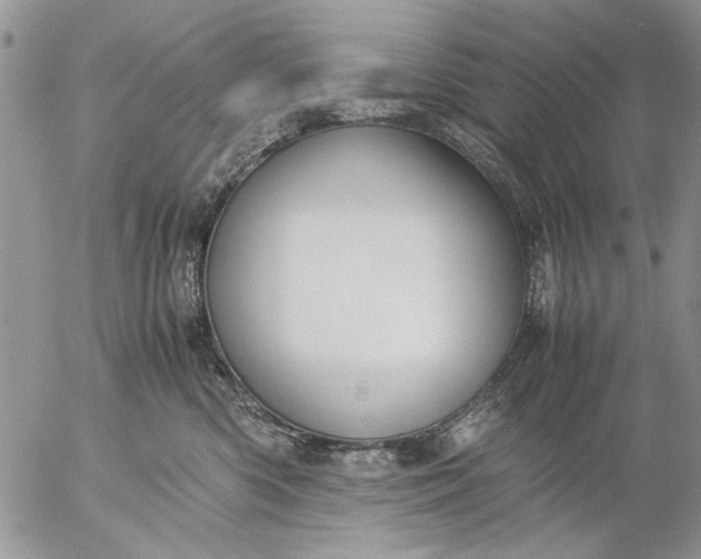 X0000057080426200509231629