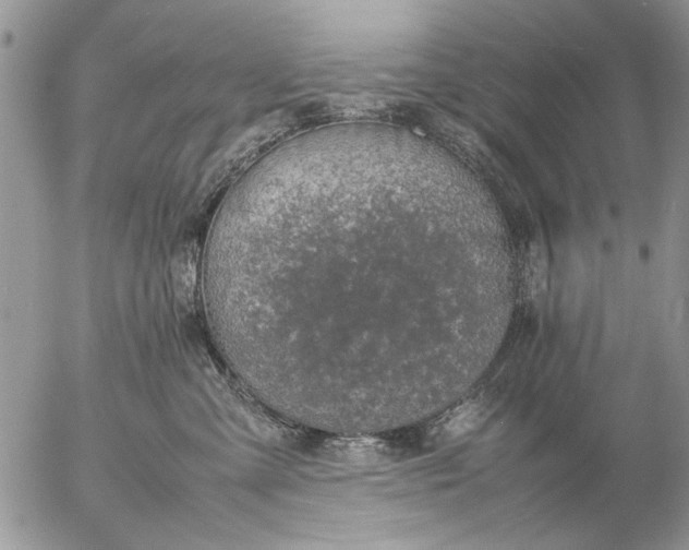 X0000057080427200509231629