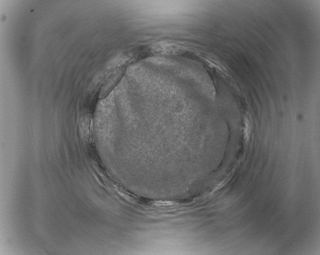 X0000057080429200509231629