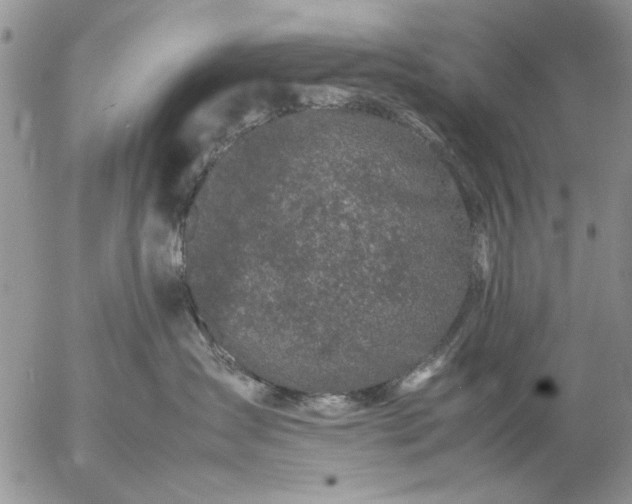 X0000057080431200509231629