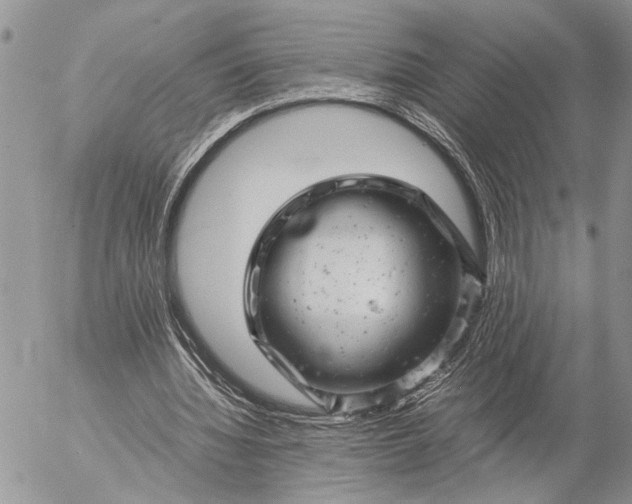 X0000057080436200509231628