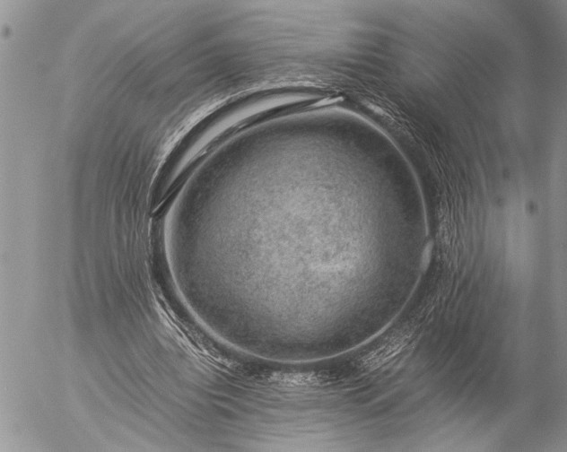 X0000057080440200509231628