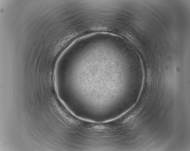 X0000057080441200509231628