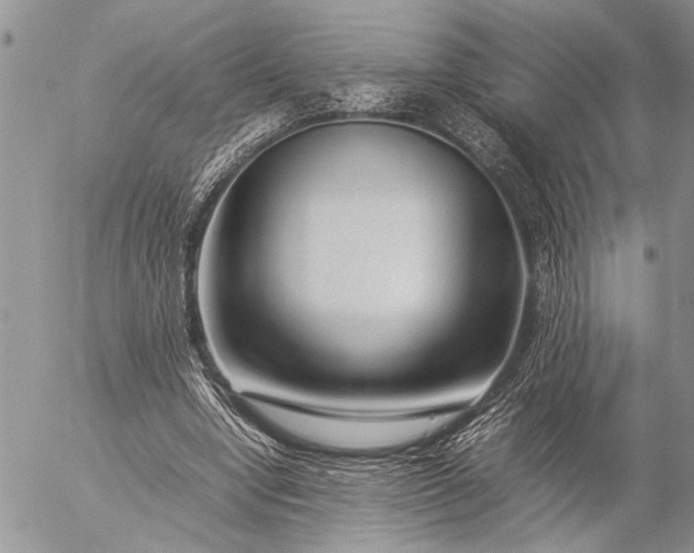 X0000057080442200509231628