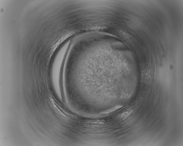 X0000057080443200509231628