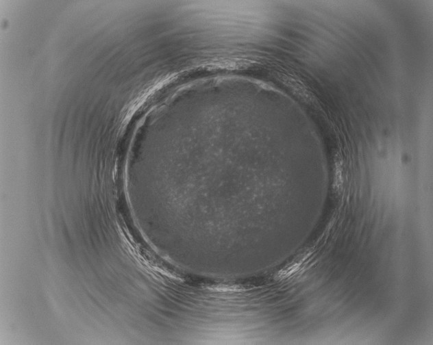 X0000057080444200509231628