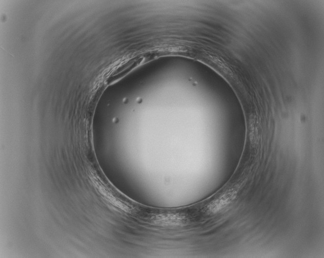 X0000057080445200509231628