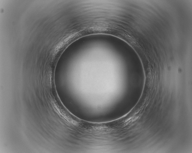 X0000057080446200509231628