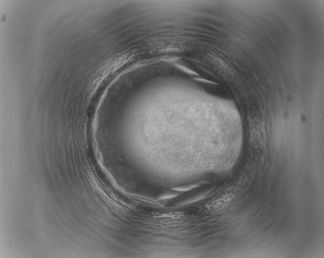 X0000057080447200509231628