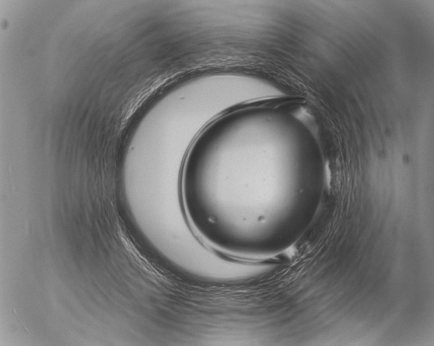 X0000057080448200509231628