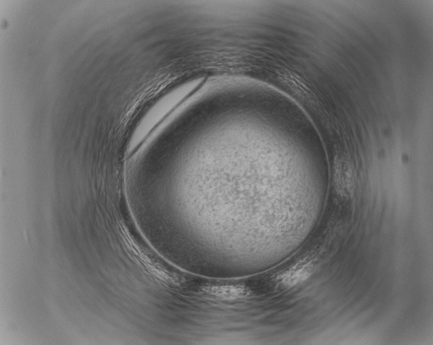 X0000057080449200509231628