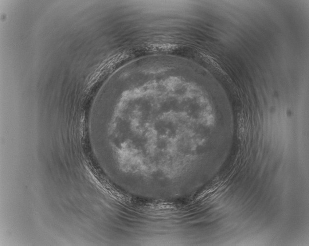 X0000057080451200509231628