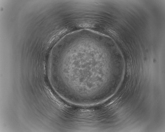 X0000057080453200509231628