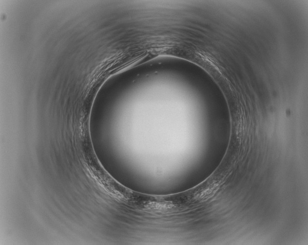 X0000057080455200509231628