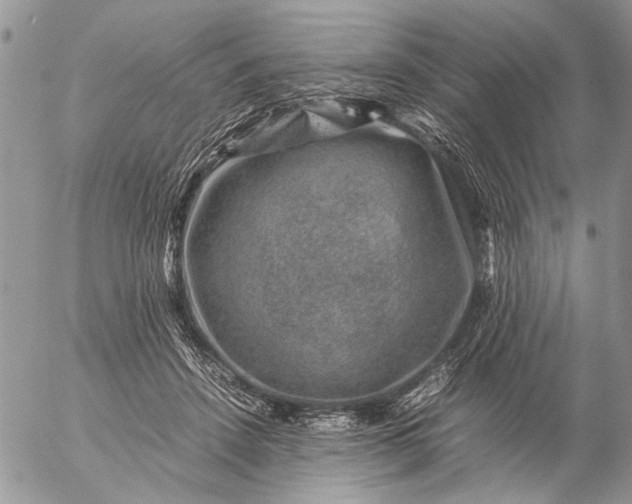 X0000057080456200509231628