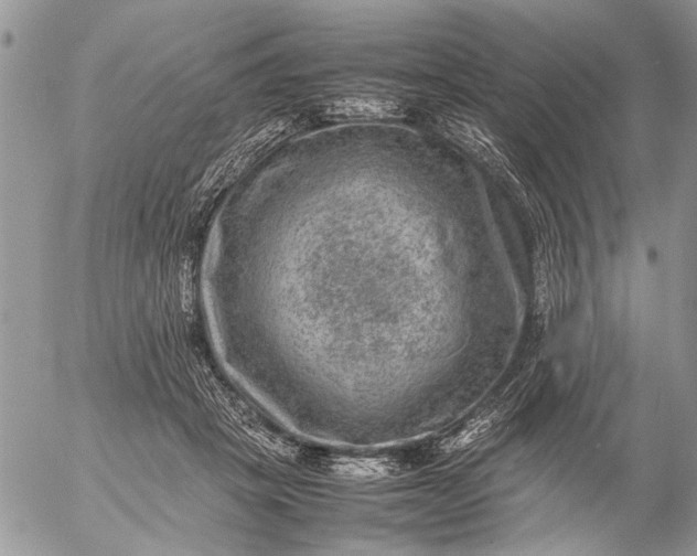 X0000057080457200509231628