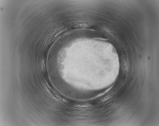 X0000057080459200509231628