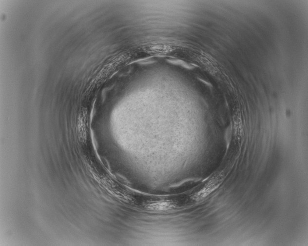 X0000057080460200509231628