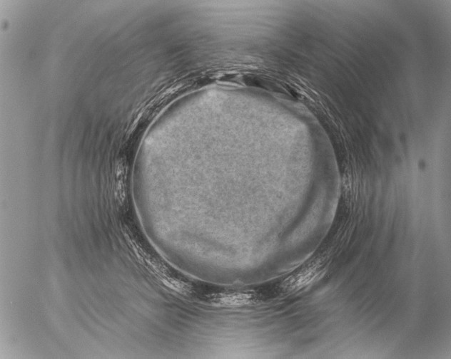 X0000057080462200509231628