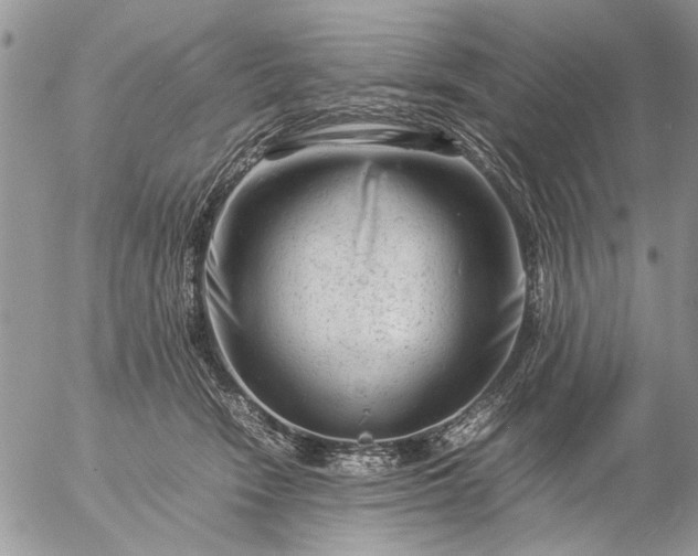 X0000057080466200509231628