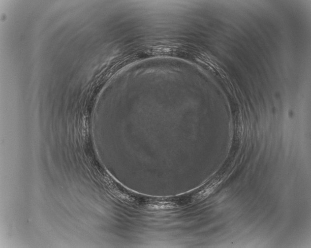 X0000057080467200509231628