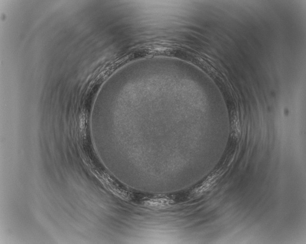 X0000057080468200509231628