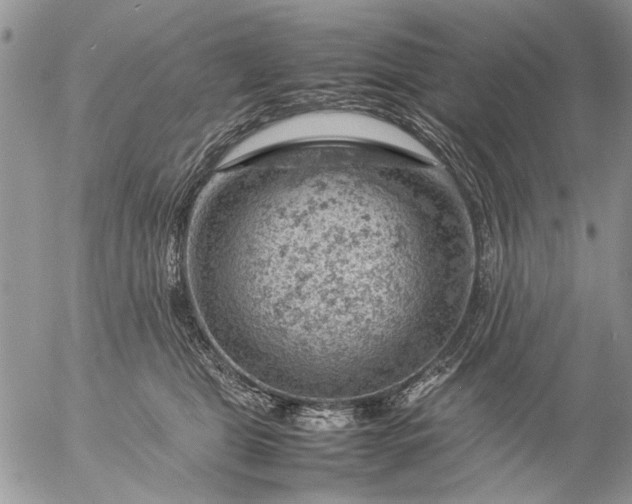 X0000057080469200509231628