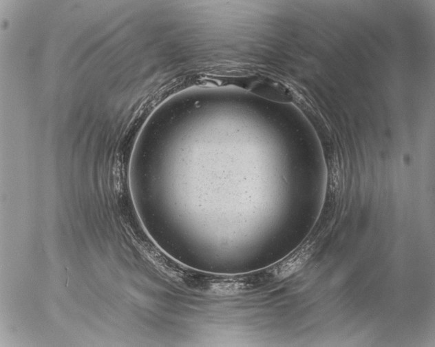 X0000057080470200509231628