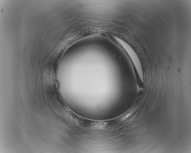 X0000057080474200509231628