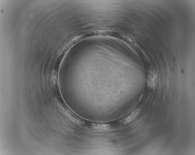 X0000057080476200509231628