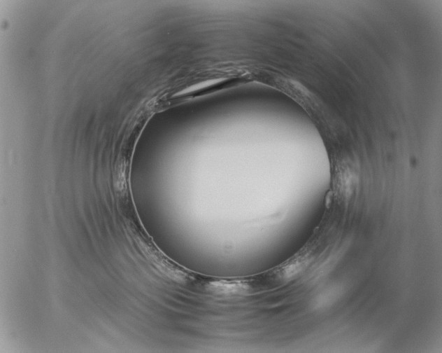 X0000057080477200509231628