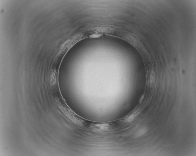 X0000057080478200509231629