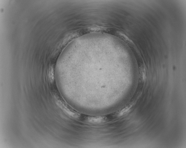 X0000057080479200509231629