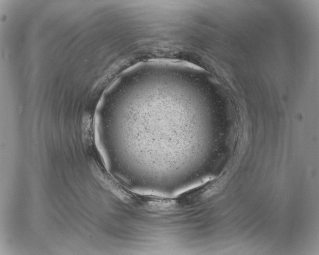 X0000057080480200509231629