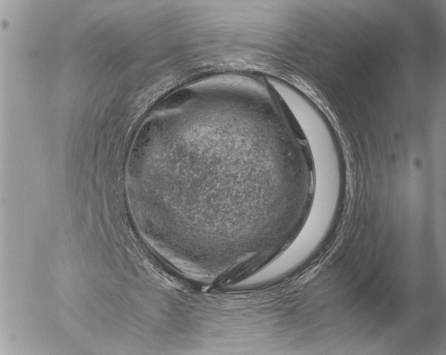 X0000057080481200509231628