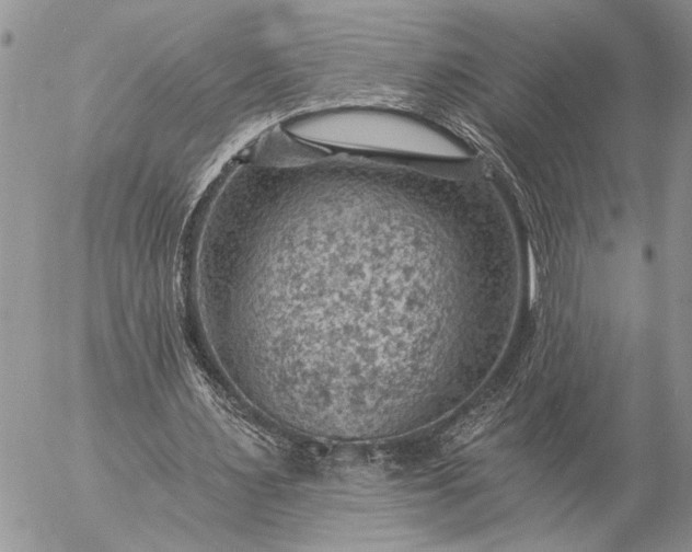 X0000057080483200509231628