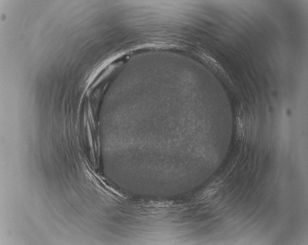 X0000057080484200509231628