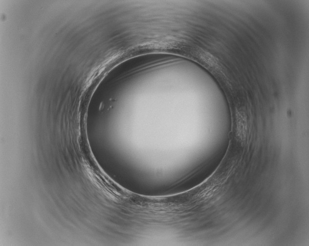 X0000057080486200509231628